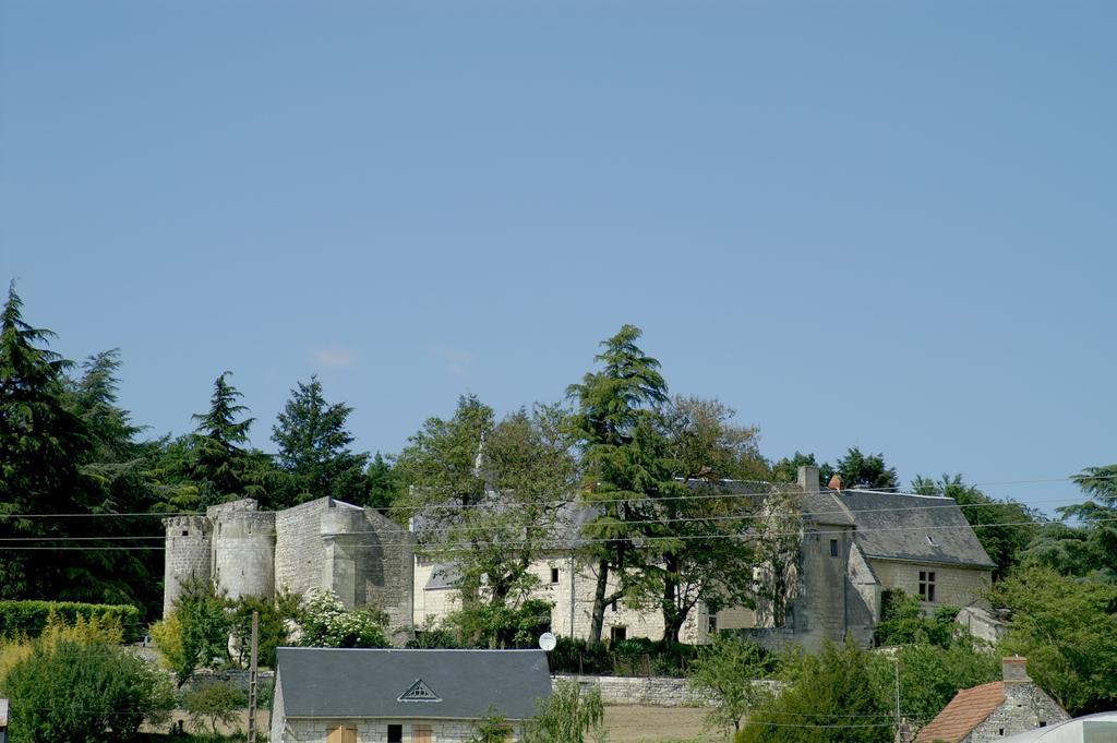 Chateau De La Roche Martel Bed & Breakfast Roiffé Eksteriør bilde