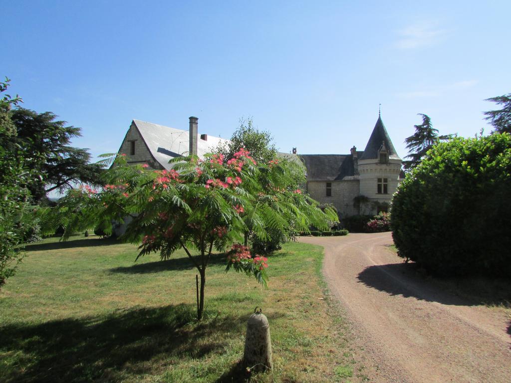 Chateau De La Roche Martel Bed & Breakfast Roiffé Eksteriør bilde