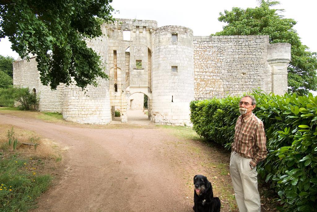 Chateau De La Roche Martel Bed & Breakfast Roiffé Eksteriør bilde